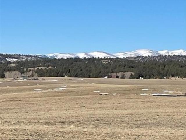 Land for sale in Hartsel, Park County