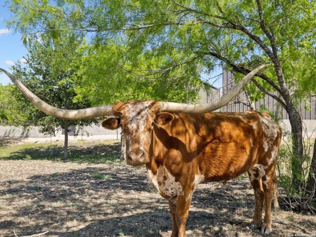 House for sale in New Braunfels