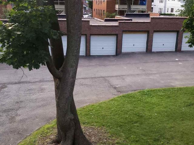 Apartment for rent in Albany, New York