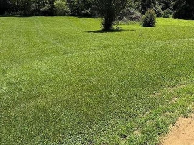 Land for sale in Beaver Dam, Kentucky