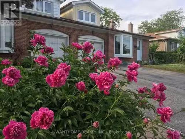 House for rent in Woburn, Ontario