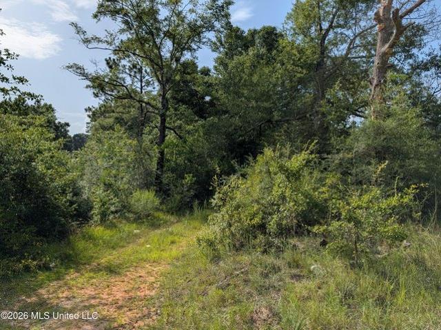 Land for sale in Lucedale, Mississippi