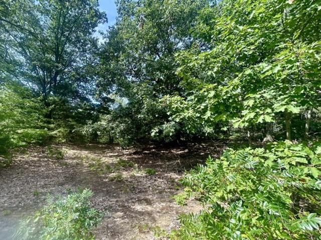 Land for sale in Holland, Michigan