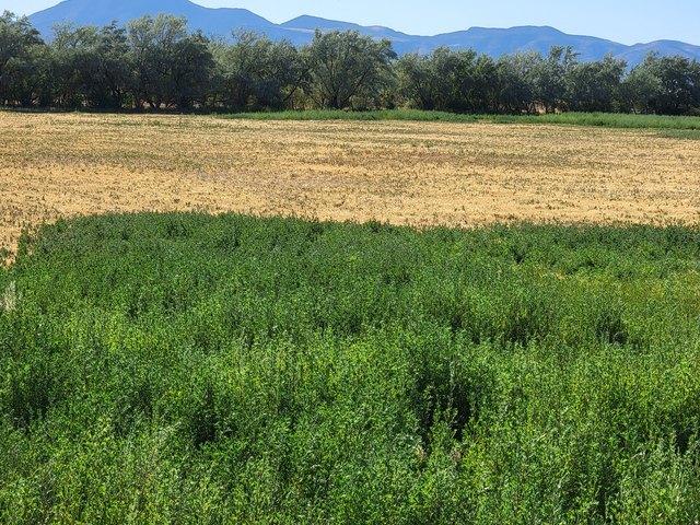 Land for sale in Goshen, Utah