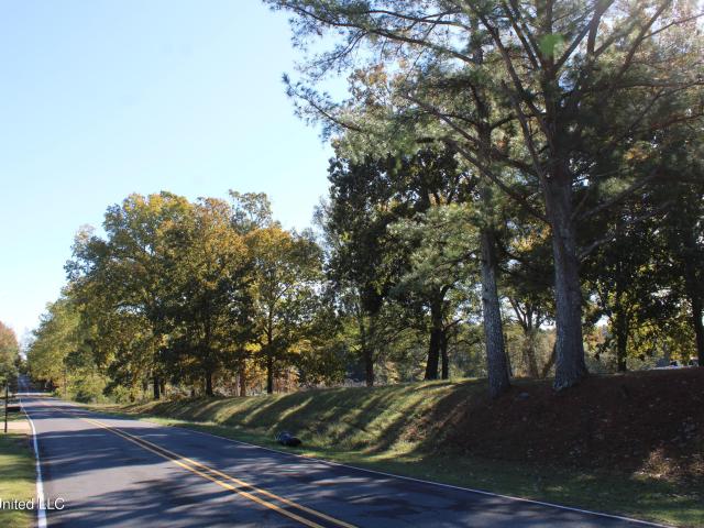 Land for sale in Olive Branch, DeSoto County