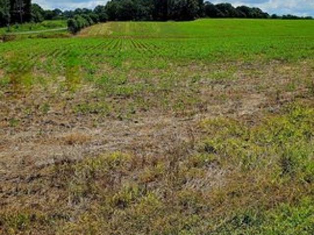 Land for sale in Peachland, North Carolina