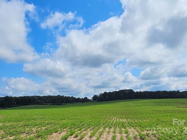 Land for sale in Peachland, North Carolina