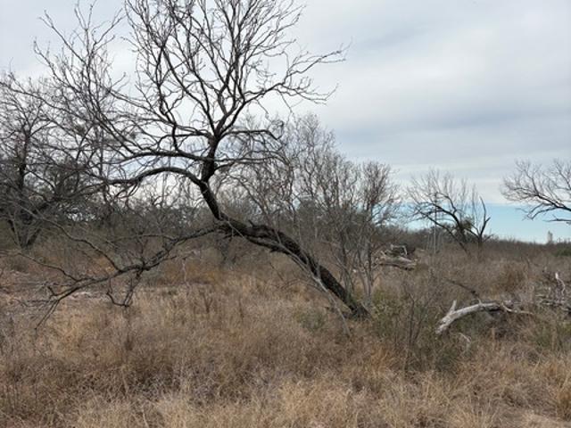 Land for sale in Uvalde, Texas