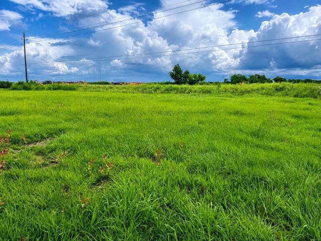 Land for sale in Needville, Texas