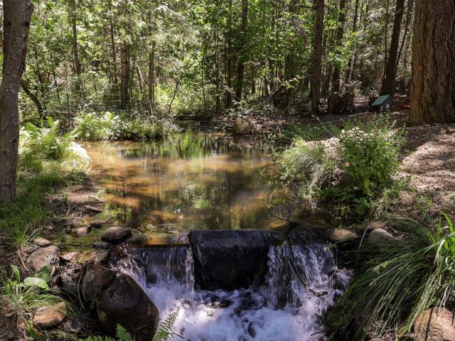 House for sale in Shasta, California