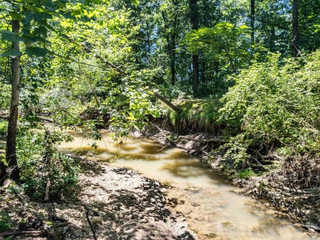Land for sale in Fulton