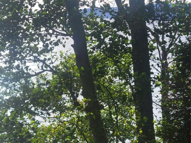 Land for sale in Camano Island