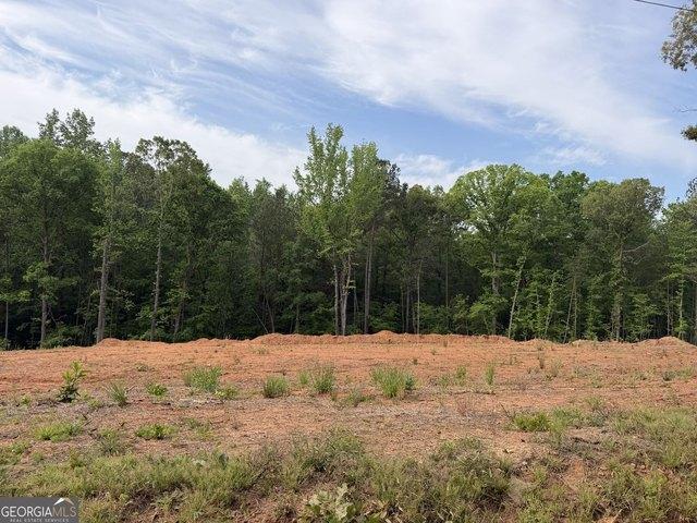 Land for sale in Forsyth, Georgia
