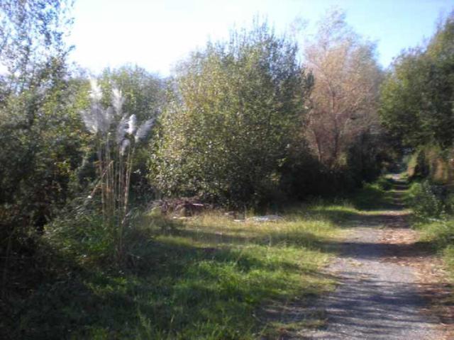 Terreno en venta en Pontevedra, Galicia