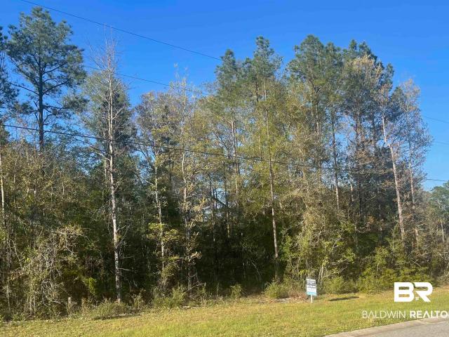 Land for sale in Stapleton, Baldwin County