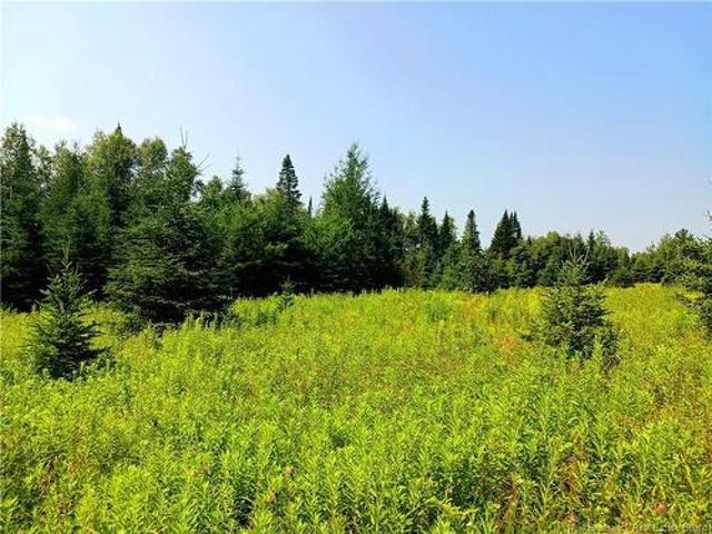 Land for sale in Red Rapids, New Brunswick