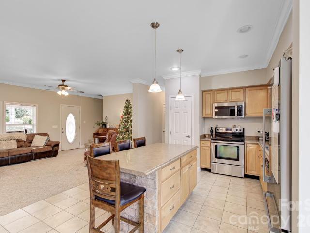 House for sale in East Flat Rock, North Carolina