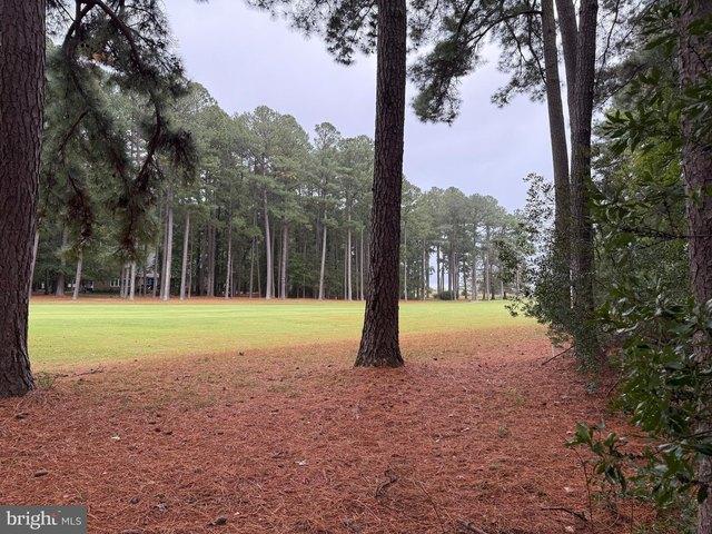 Land for sale in Issue, Maryland
