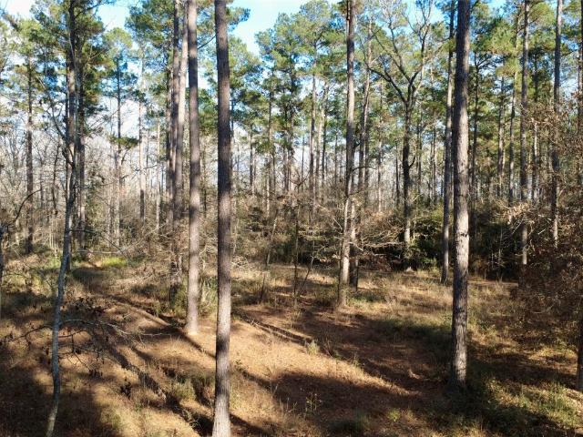 Land for sale in Kennard, Texas