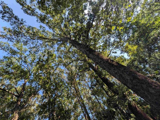 House for sale in Cassatt, South Carolina