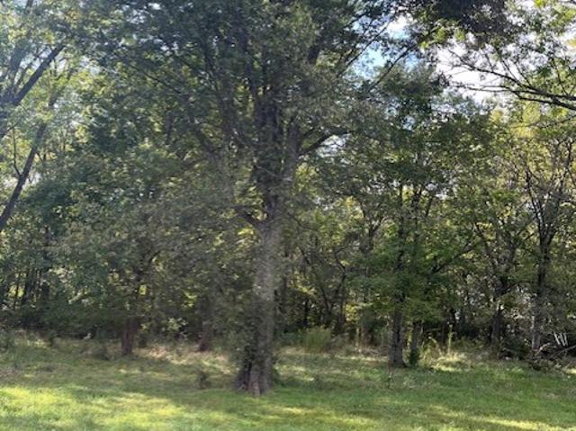 Land for sale in Ark