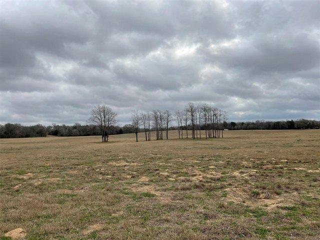 Land for sale in Lexington, Texas