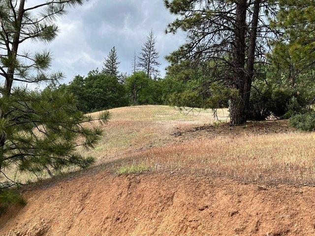 Land for sale in Hayfork, California