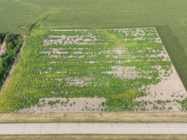 Land for sale in Milbank, South Dakota