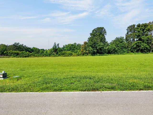 Land for sale in Tennessee