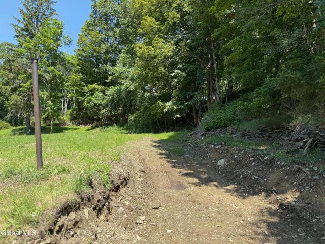 Land for sale in Middleburgh, New York