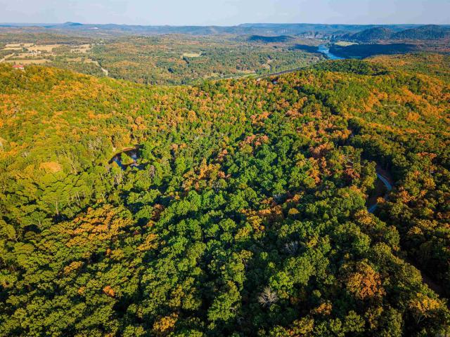 Land for sale in Hand Valley, Flippin