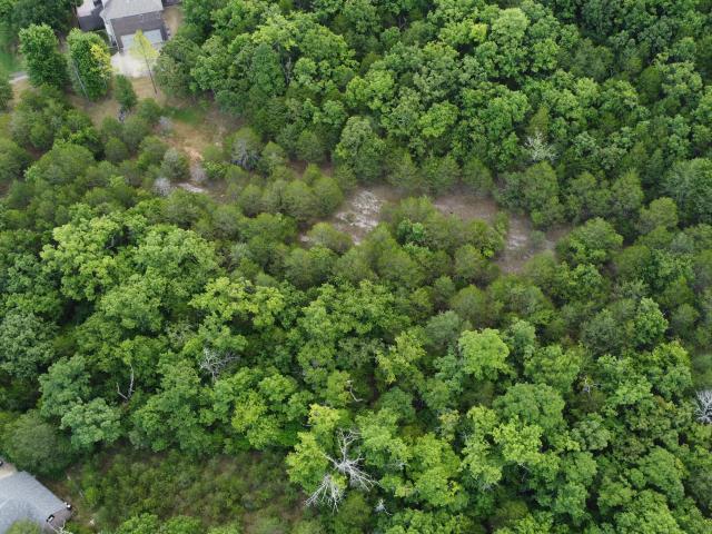 Land for sale in Chestnutridge, Missouri