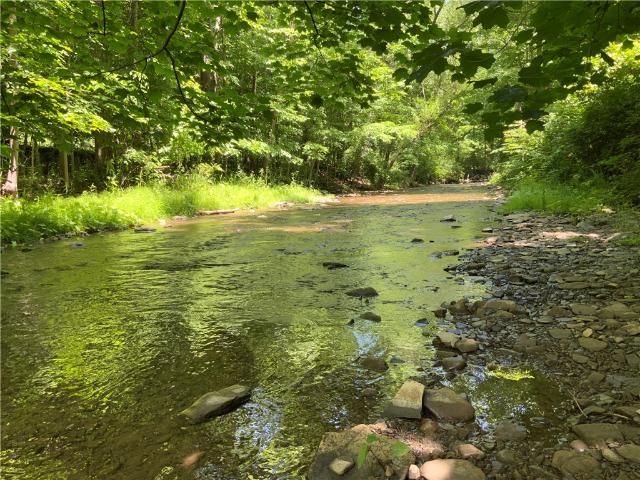 Land for sale in Newfield, New York