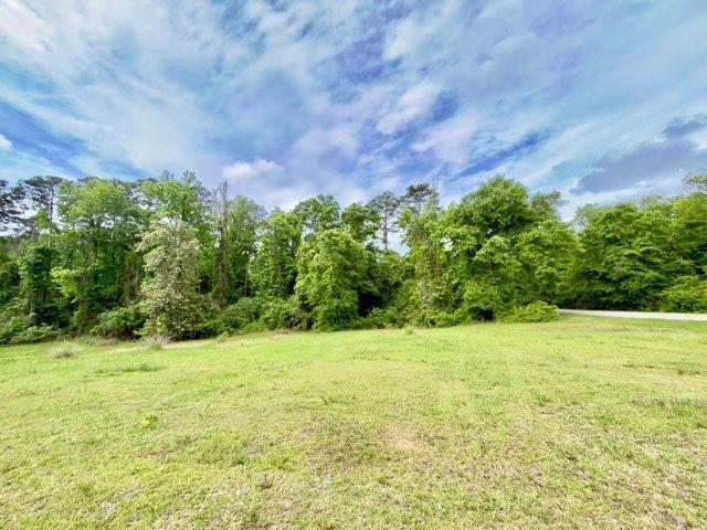 Land for sale in Grove Hill, Alabama