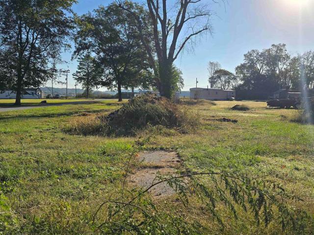 Land for sale in Jonesboro, Illinois