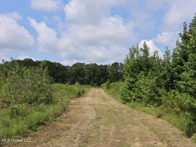 Land for sale in Mississippi