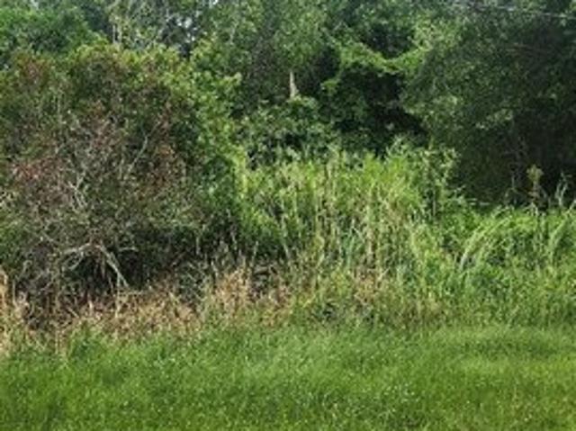 Land for sale in Morehead City, Carteret County