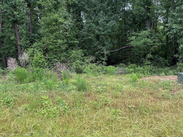 Land for sale in Huntsville, Walker County