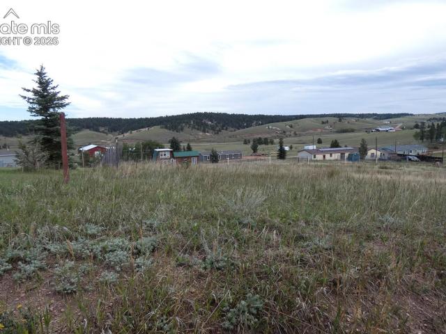 Land for sale in Divide, Teller County