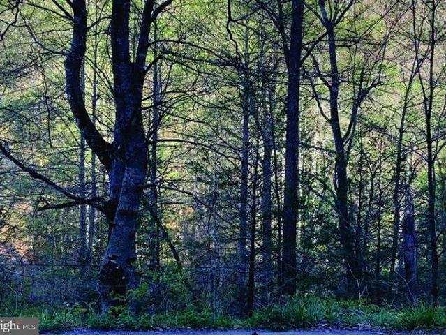 Land for sale in Virginia