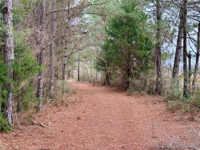 Land for sale in Geneva, Alabama