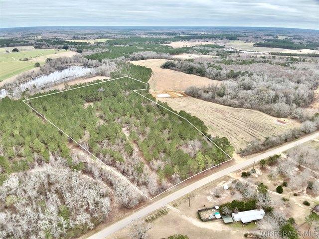 Land for sale in Geneva, Alabama