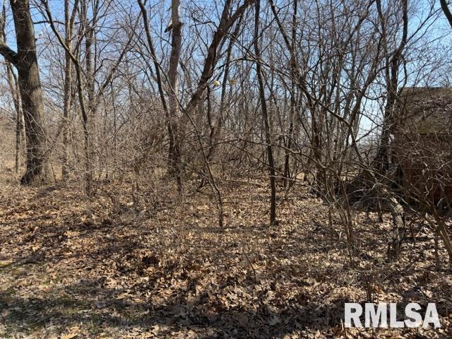 Land for sale in Petersburg, Illinois
