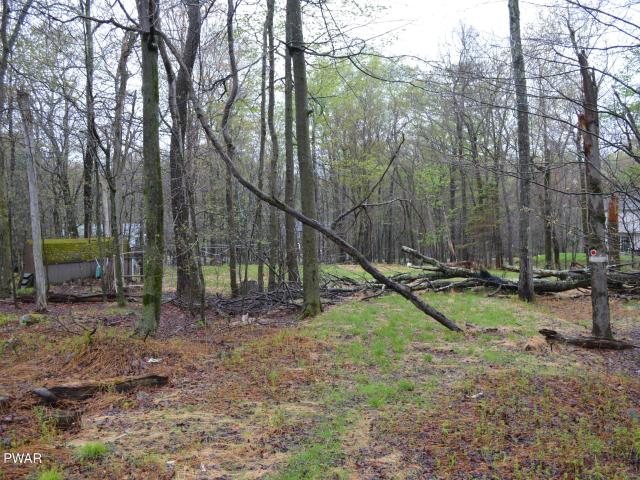Land for sale in Newfoundland, Pennsylvania