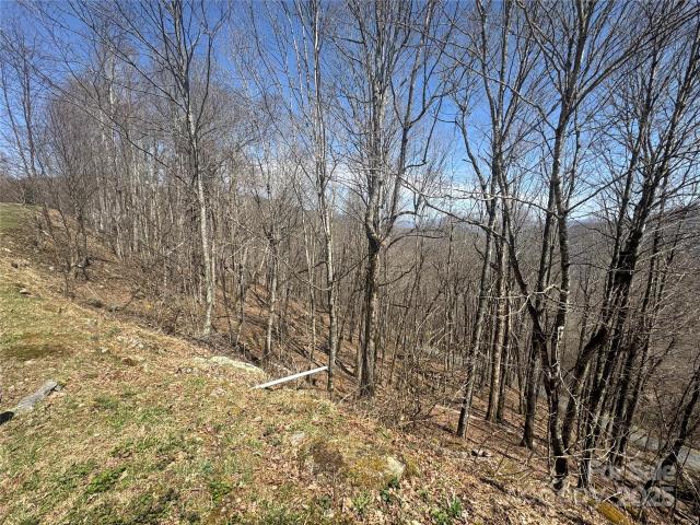 Land for sale in Yancey, North Carolina