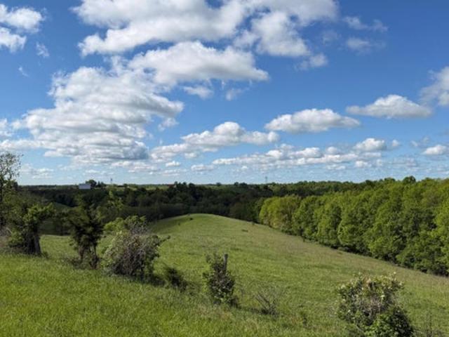 Land for sale in Williamstown, Kentucky