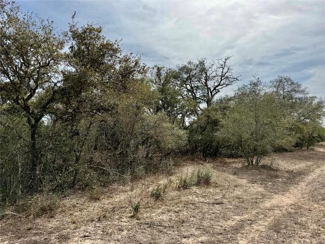 Land for sale in Dewitt, Texas