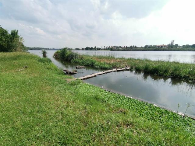 Farm for sale in Oranjeville, Free State