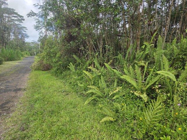 Land for sale in Pahoa, Hawaiʻi County