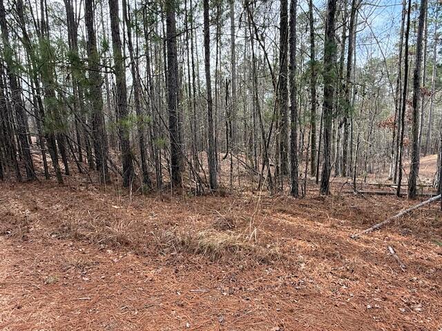 Land for sale in South Carolina